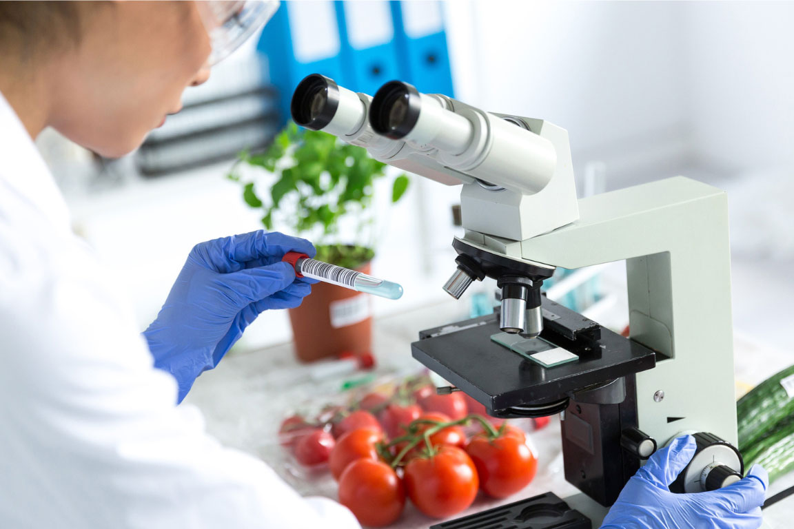 FoodSafety resize